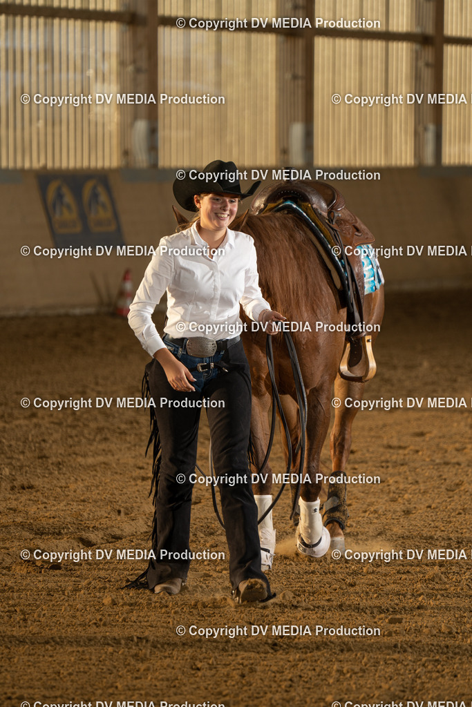 LAU02017 | dv-media-shop - Realisiert mit Pictrs.com