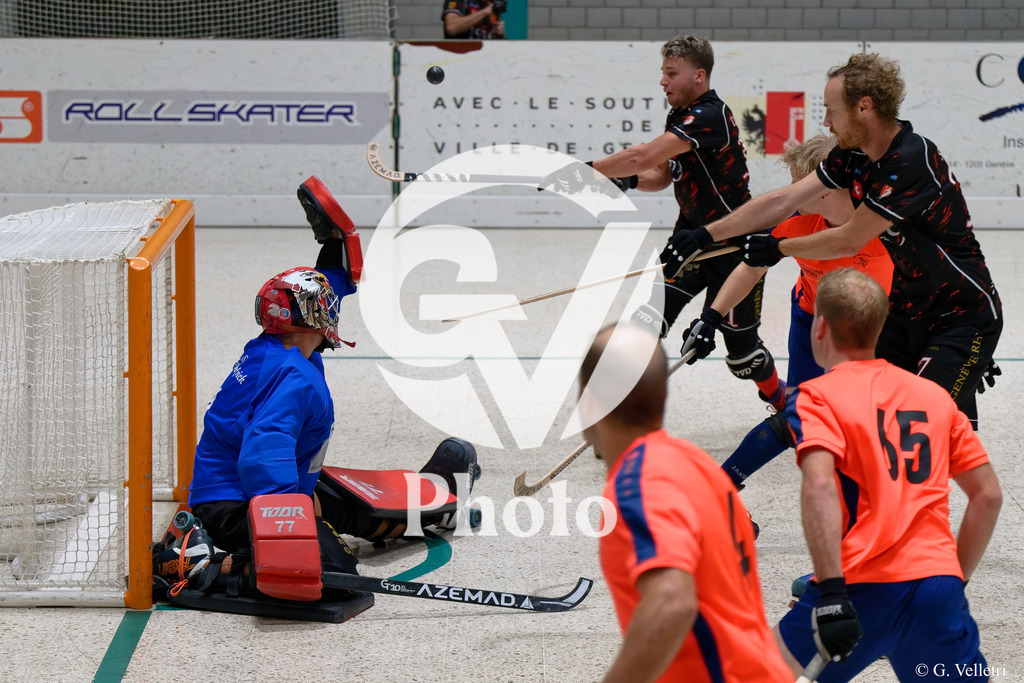 DSC_3355 | Velletri Photo