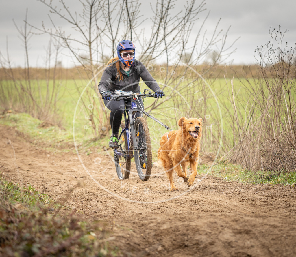 DV3A0988 | Hundefotografie, Tierfotograf, Pfotenfotografie, Fotoshooting Hund, Hunde Portrait, Hundesport, Hundeportraits, Heideshooting, Hunde, Sportfotograf, Hundefotograf, Turnierhundsport, THS,  - Realisiert mit Pictrs.com