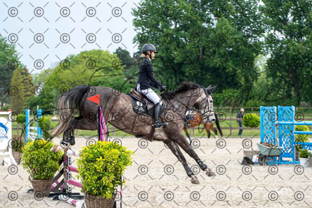 KPT_2556 | andre_photographic