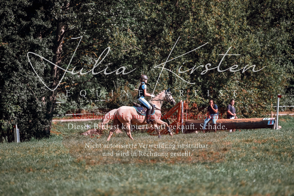 DSC_1059 | Pferde- und Turnierfotografie in Westsachsen. Pferdeportraits, Auftragszeichnungen und intuitive Kunst.