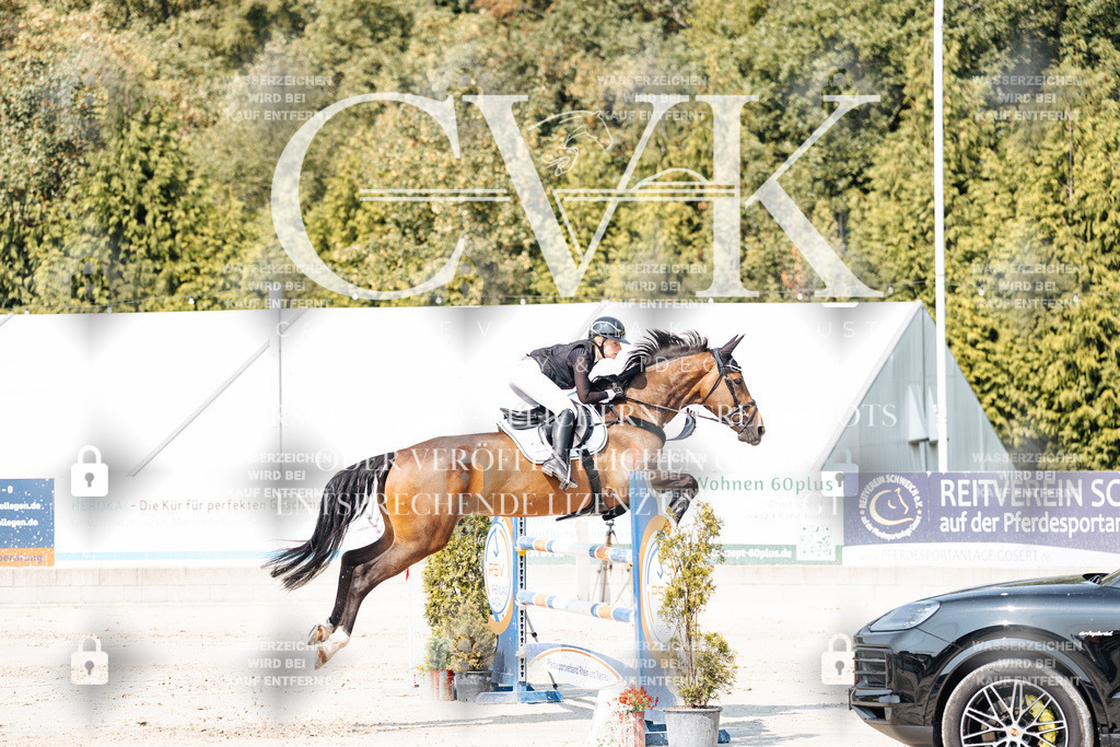 CK901740 | Turnierfotografie Pferdefotografie Trier Rheinland-Pfalz Pferdesport Reitsport Tierfotografie Sportfotografie Pferdevideo Pferdevideografie Equestrianvideography equestrianphotography  - Realisiert mit Pictrs.com
