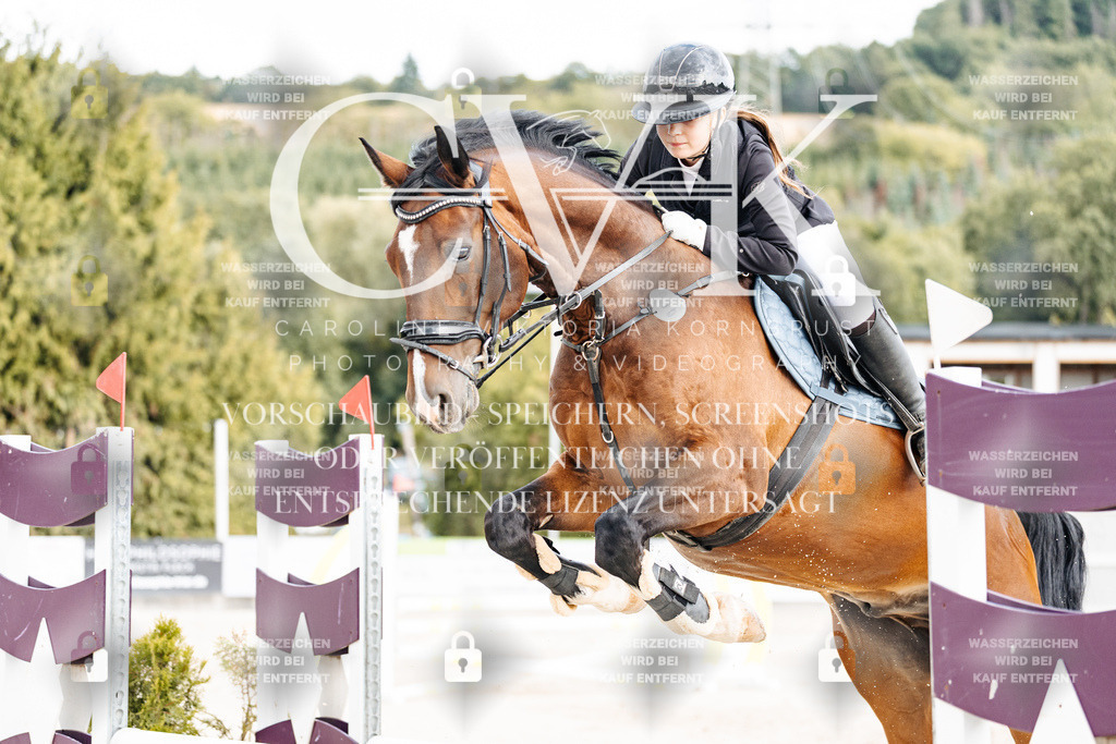 CK902564 | Turnierfotografie Pferdefotografie Trier Rheinland-Pfalz Pferdesport Reitsport Tierfotografie Sportfotografie Pferdevideo Pferdevideografie Equestrianvideography equestrianphotography  - Realisiert mit Pictrs.com