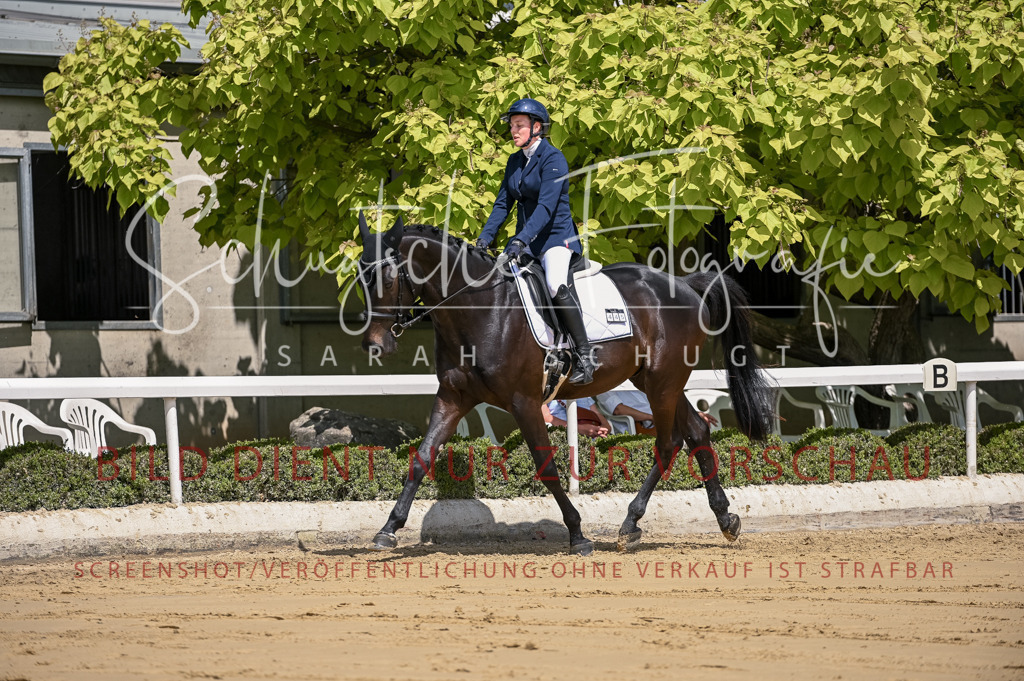 Schugtsche-Aluta25-48.Reitpferfdeprf.-214 | Schugtsche Fotografie - Realisiert mit Pictrs.com