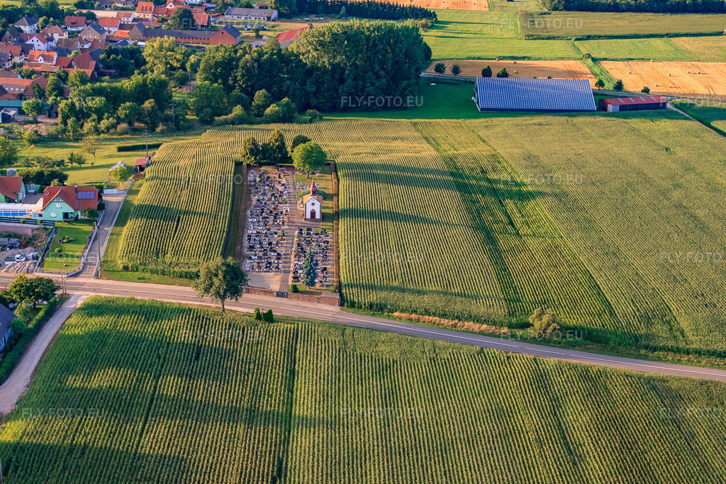 Vue aérienne: Cimetière avec chapelle au milieu des champs de maïs à Salmbach dans le département Bas Rhin, France – .Photo: IMG_59072.jpg prise le 04/08/2013 par Werner Riehm/FLY-FOTO.eu – Résolution de l'original: 4213 x 2809 px