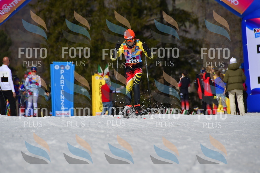 _DSC0470 | holidayphoto