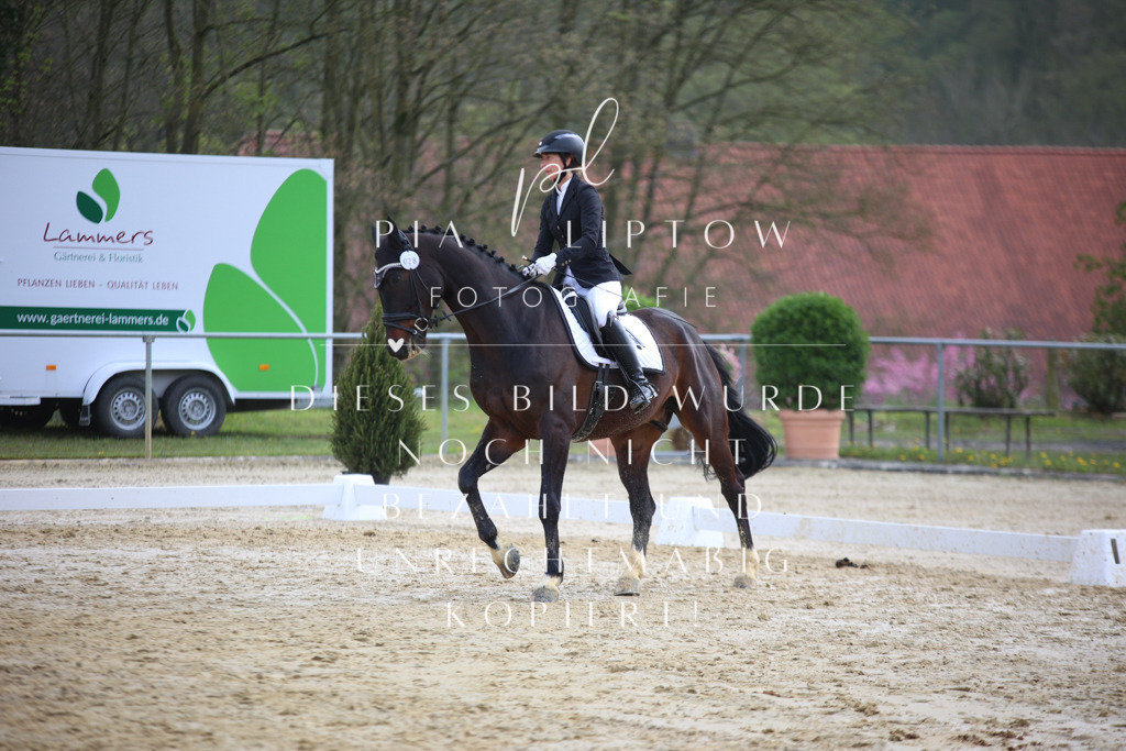 IMGT5397 | pl-fotografie