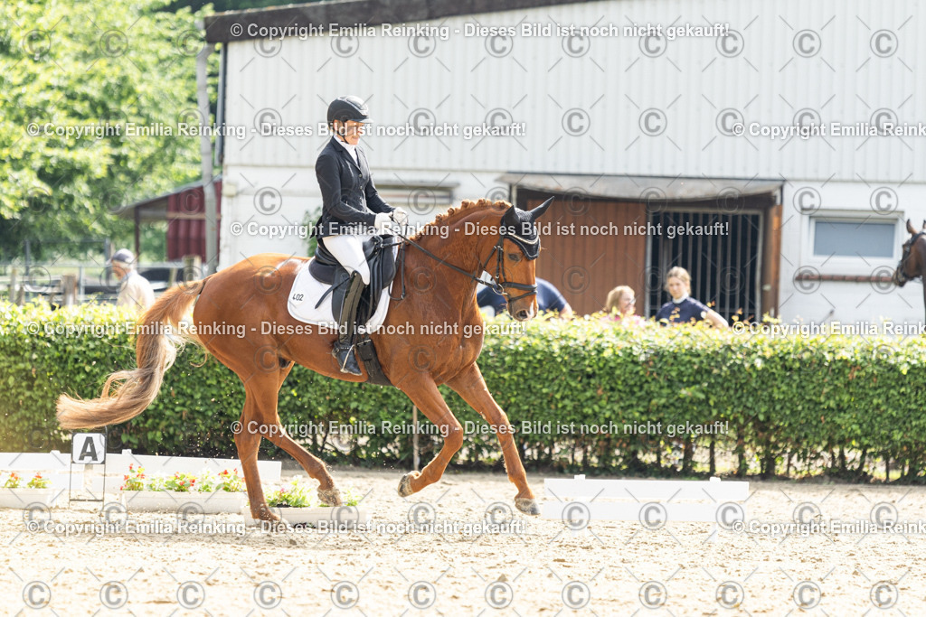 CL5A5557 | Emilia Reinking Fotografie - Realisiert mit Pictrs.com