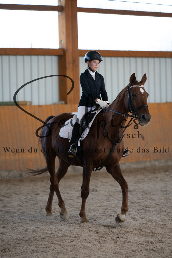 A7V02049 | Turnier/Reitfotograf