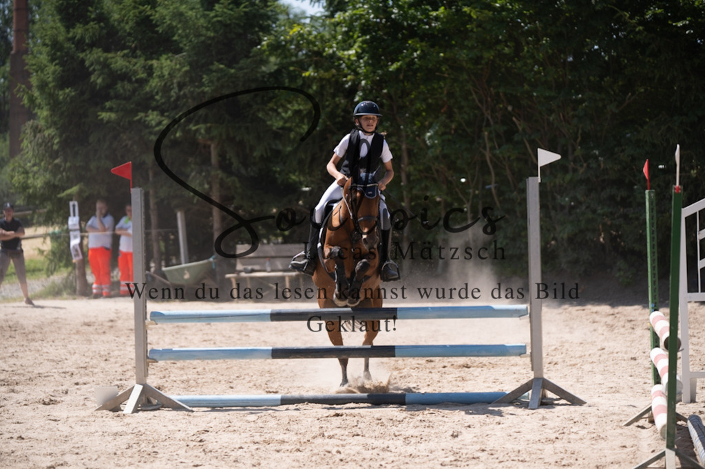 A7V08565 | Pferdefotograf