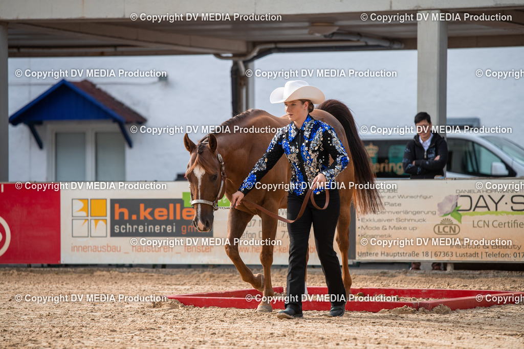 EWP_5579 | dv-media-shop - Realisiert mit Pictrs.com