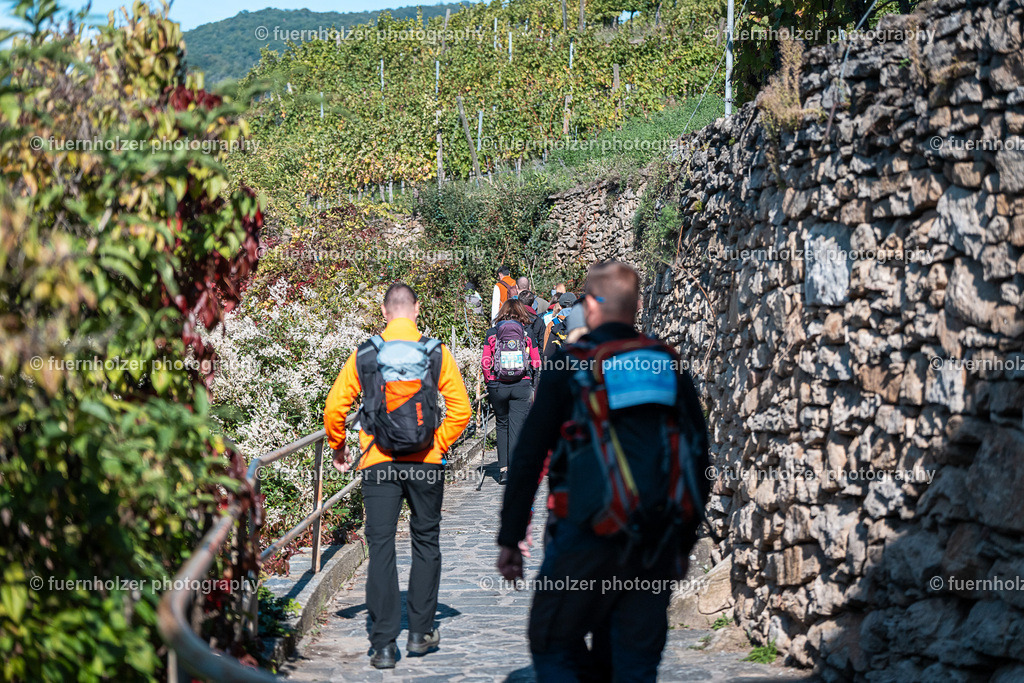 fuernholzer_251004-C2-93 | © Christian Fuernholzer | fuernholzer photography