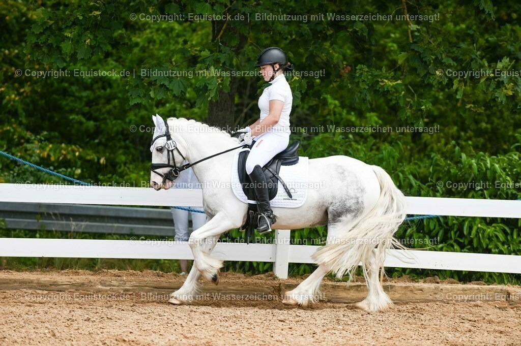 20230715_05_Dressurprüfung Kl.A++_0271 | equistock