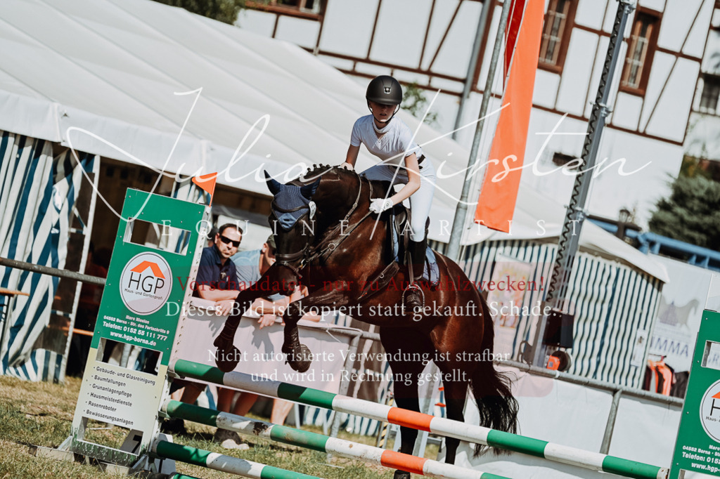 DSC_9662 | Pferde- und Turnierfotografie in Westsachsen. Pferdeportraits, Auftragszeichnungen und intuitive Kunst.