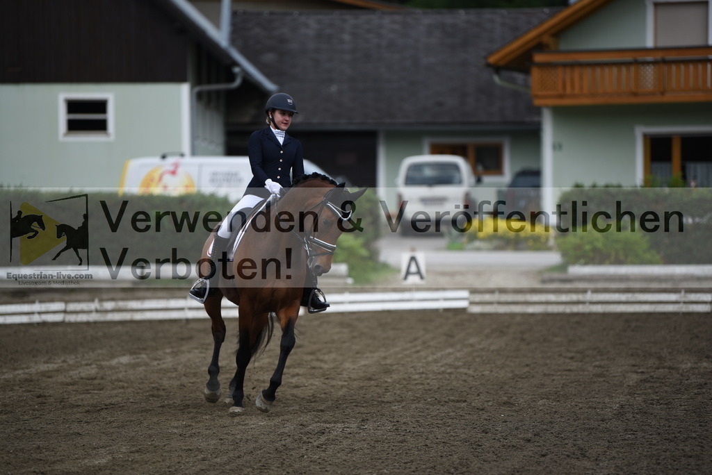DSC_4165 | equestrian-live-com