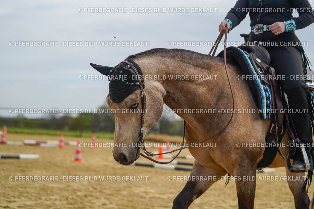 DSC03782 | Pferdegrafie