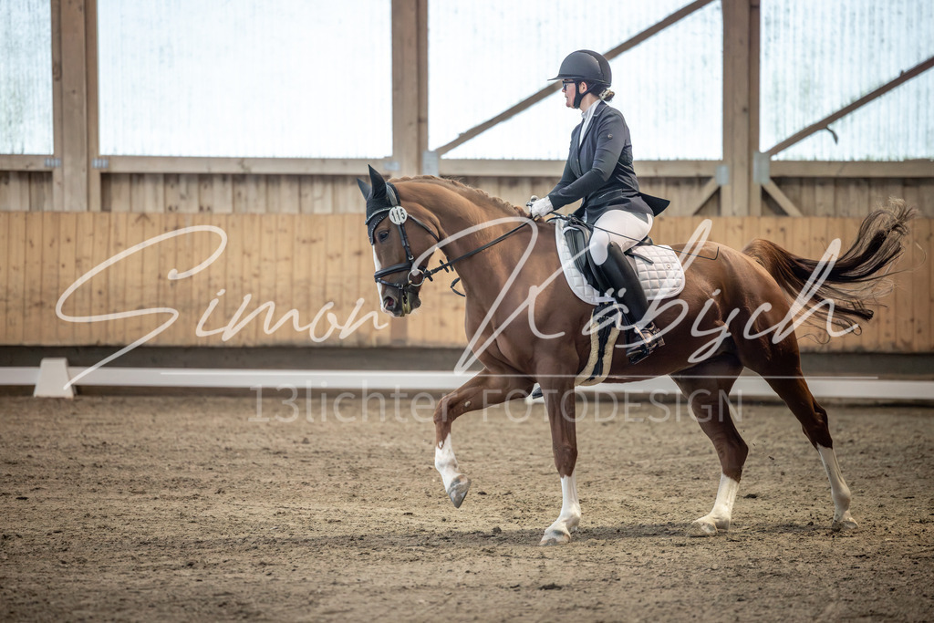 20251011-_3LI6084 | Tierfotografie Pferde, Hunde, Katzen, Haustiere.
Turnierfotografie Reitturniere, Reiten, Springreiten, Dressur in Hanau, dem Main-Kinzig-Kreis und dem Rhein-Main- Gebiet um Frankfurt
