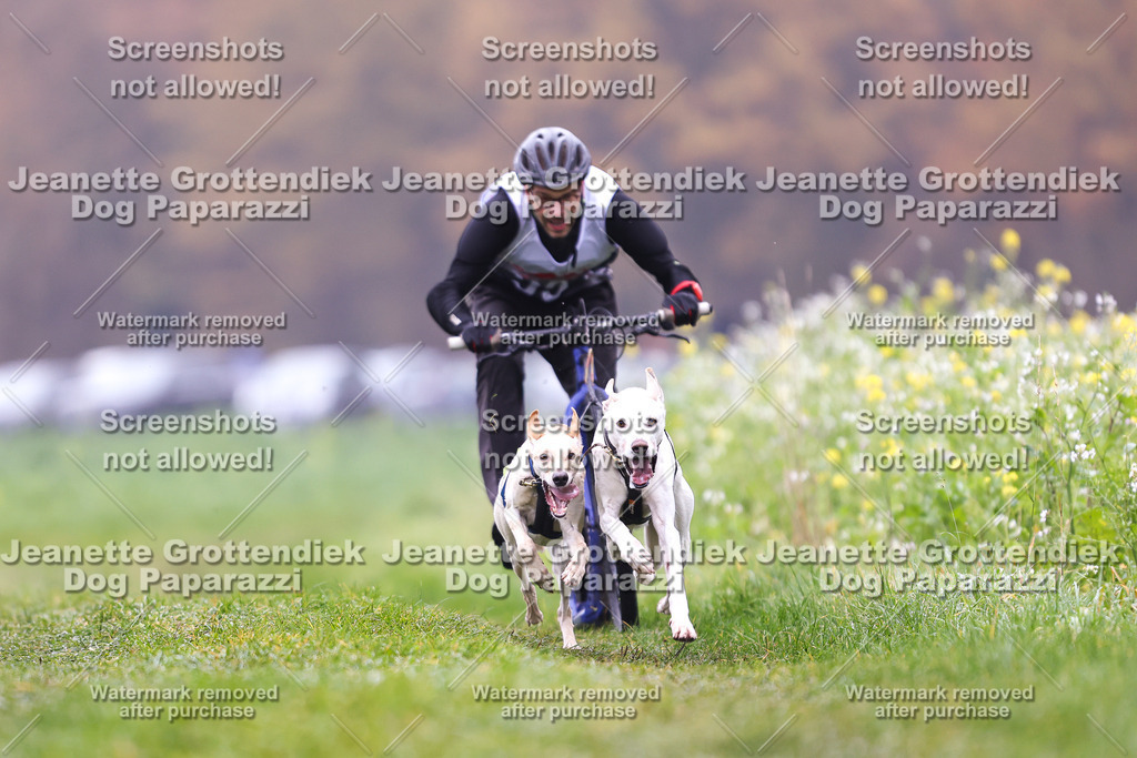 Dog Paparazzi - Visbeck 25 -61 | Dog Paparazzi Jeanette Grottendiek Fotografie & Videografie - Realisiert mit Pictrs.com