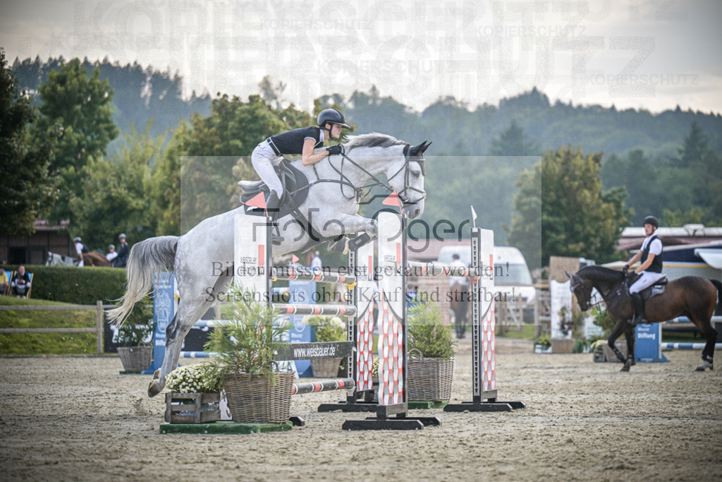 DOS_3203 | Entdecke hochwertige Reitturnierfotos von Foto Oger. Professionell, emotional und authentisch – jetzt Lieblingsmomente im Shop bestellen.Deutschlandweite Turnierfotografie. - Realisiert mit Pictrs.com