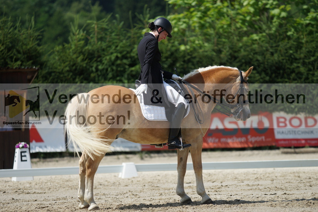 DSC05277 | equestrian-live-com