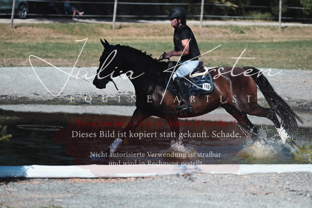 DSC_8678 | Pferde- und Turnierfotografie in Westsachsen. Pferdeportraits, Auftragszeichnungen und intuitive Kunst.