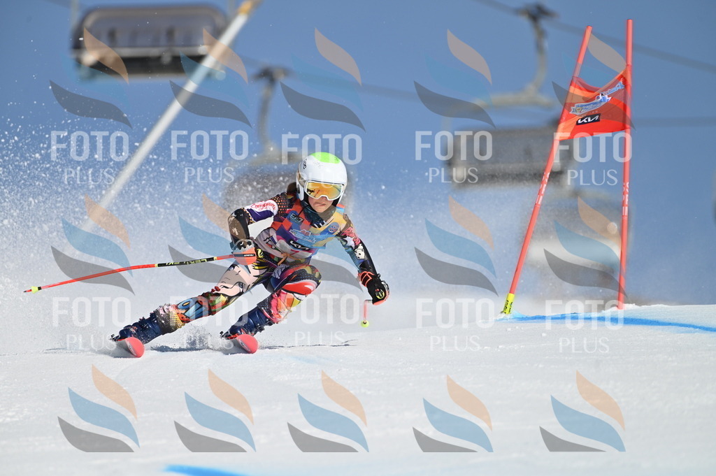 BGV_7683 | holidayphoto