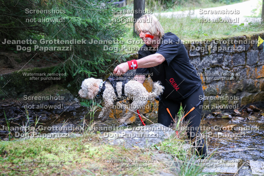 Dog Paparazzi -  TH 26-487 | Dog Paparazzi Jeanette Grottendiek Fotografie & Videografie - Realisiert mit Pictrs.com