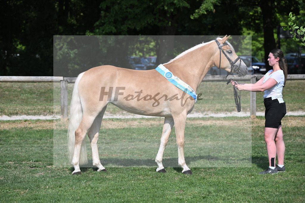 Kat-Nr. 19 Nenee_Stadler_20231714 | hf-fotografie - Realisiert mit Pictrs.com