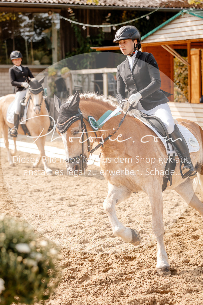3I6A4566 | Stimmungsvolle Portraits und Reitsportfotografie im Ruhrgebiet und im Münsterland.

Pferdefotografie, Hundefotografie, Tierfotografie, Reportagen, Portraits von Tier und Mensch, Turnierfotografie in Bochum, Recklinghausen, Marl, Haltern am See, Dülmen.. - Realisiert mit Pictrs.com