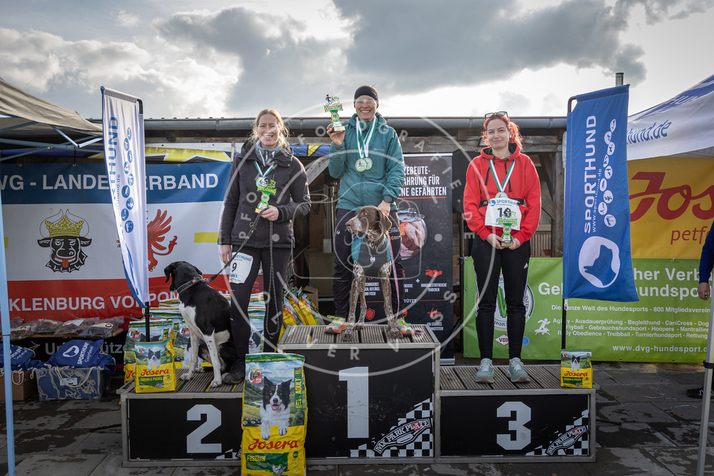 0L8A9125 | Hundefotografie, Tierfotograf, Pfotenfotografie, Fotoshooting Hund, Hunde Portrait, Hundesport, Hundeportraits, Heideshooting, Hunde, Sportfotograf, Hundefotograf, Turnierhundsport, THS,  - Realisiert mit Pictrs.com