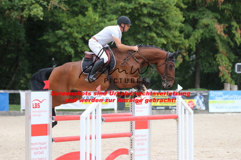 IMG_8112 | lmwpictures - Realisiert mit Pictrs.com