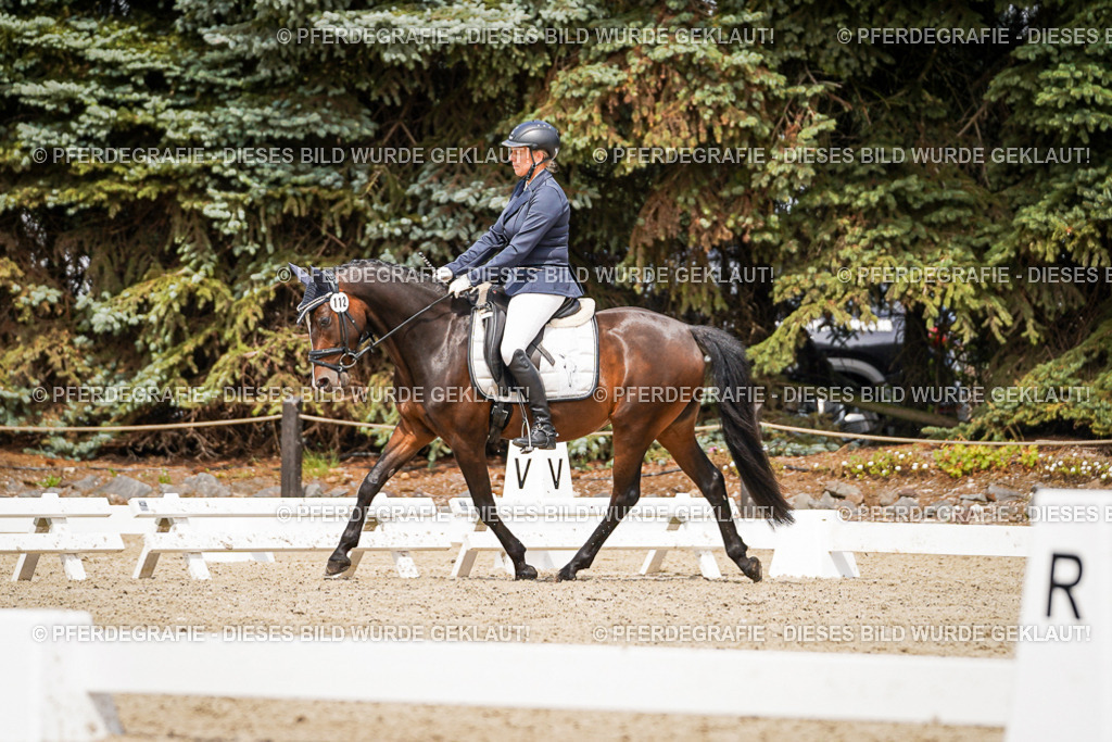 DSC04153 | Pferdegrafie