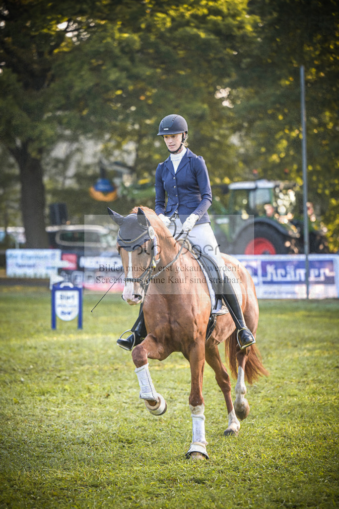 DOS_0089 | Entdecke hochwertige Reitturnierfotos von Foto Oger. Professionell, emotional und authentisch – jetzt Lieblingsmomente im Shop bestellen.Deutschlandweite Turnierfotografie. - Realisiert mit Pictrs.com