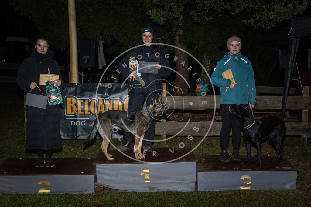 Pfotenfotografie_0L8A1947 | Hundefotografie, Tierfotograf, Pfotenfotografie, Fotoshooting Hund, Hunde Portrait, Hundesport, Hundeportraits, Heideshooting, Hunde, Sportfotograf, Hundefotograf, Turnierhundsport, THS,  - Realisiert mit Pictrs.com