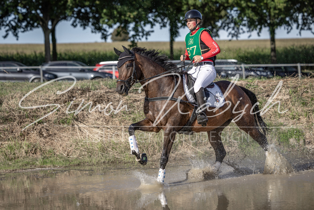 20250907-_3LI3842 | Tierfotografie Pferde, Hunde, Katzen, Haustiere.
Turnierfotografie Reitturniere, Reiten, Springreiten, Dressur in Hanau, dem Main-Kinzig-Kreis und dem Rhein-Main- Gebiet um Frankfurt