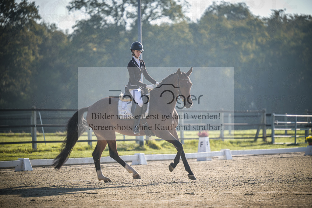 DOS_0212 | Entdecke hochwertige Reitturnierfotos von Foto Oger. Professionell, emotional und authentisch – jetzt Lieblingsmomente im Shop bestellen.Deutschlandweite Turnierfotografie. - Realisiert mit Pictrs.com