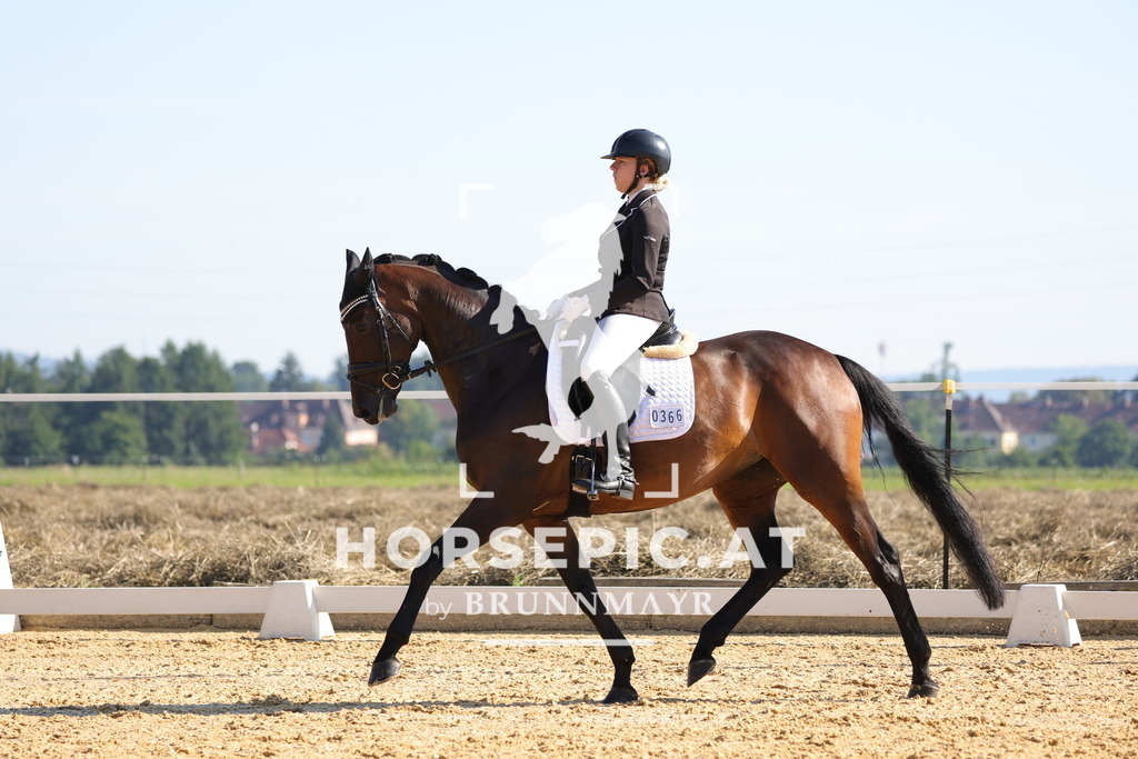 0P6A7169 | Willkommen bei Brunnmayr - Design & Fotografie – Ihrem Spezialisten für Reitturniere und Pferdeveranstaltungen in Oberösterreich, Salzburg und Bayern! Seit über 17 Jahren sind wir leidenschaftlich dabei.