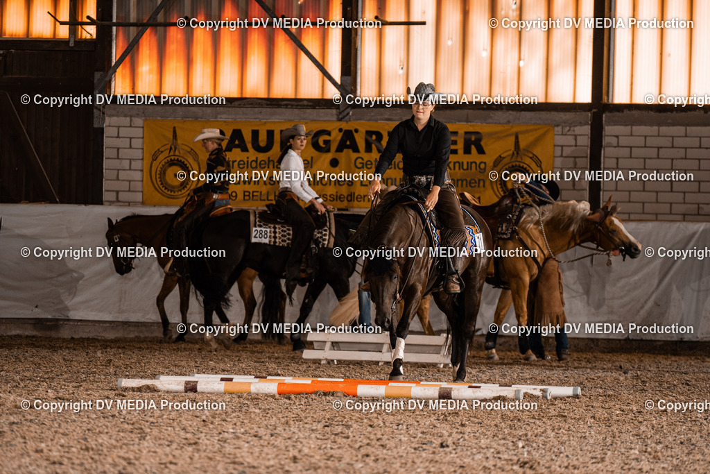 ZH300219 | dv-media-shop - Realisiert mit Pictrs.com