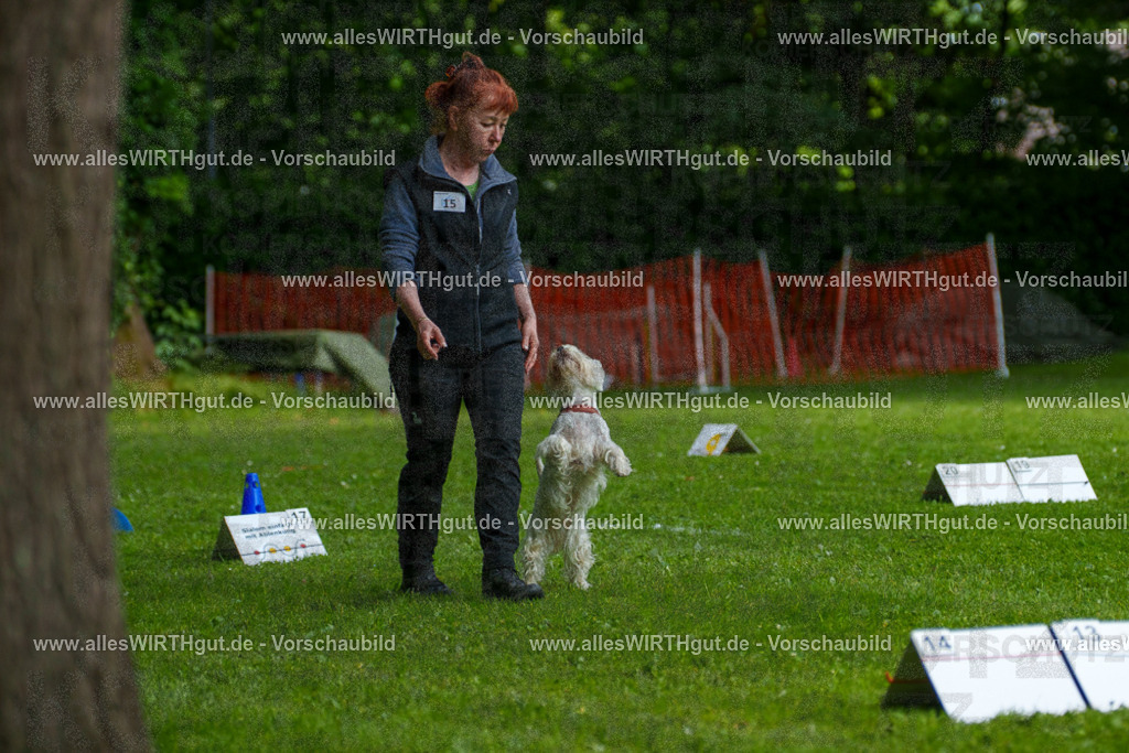 @allesWIRTHgut_Tierfotografie - www.allesWIRTHgut.de - 7R503838 | Professionelle Tierfotografie in Mönchengladbach von Daniel Wirth (allesWIRTHgut). Liebevolle & natürliche Bilder von Hunden & Katzen für unvergessliche Erinnerungen.