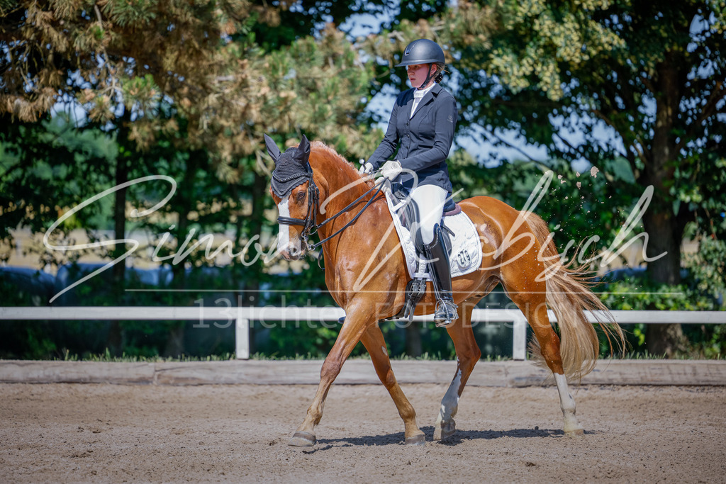 20250621-_3LI9365 | Tierfotografie Pferde, Hunde, Katzen, Haustiere.
Turnierfotografie Reitturniere, Reiten, Springreiten, Dressur in Hanau, dem Main-Kinzig-Kreis und dem Rhein-Main- Gebiet um Frankfurt
