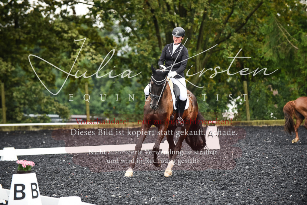 DSC_2826 | Pferde- und Turnierfotografie in Westsachsen. Pferdeportraits, Auftragszeichnungen und intuitive Kunst.