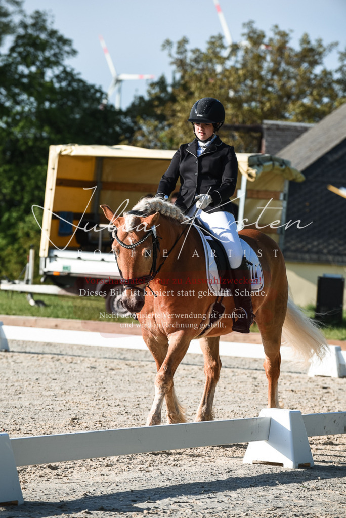 20230518_JK-Röhrsdorf-09-0328 | Pferde- und Turnierfotografie in Westsachsen. Pferdeportraits, Auftragszeichnungen und intuitive Kunst.