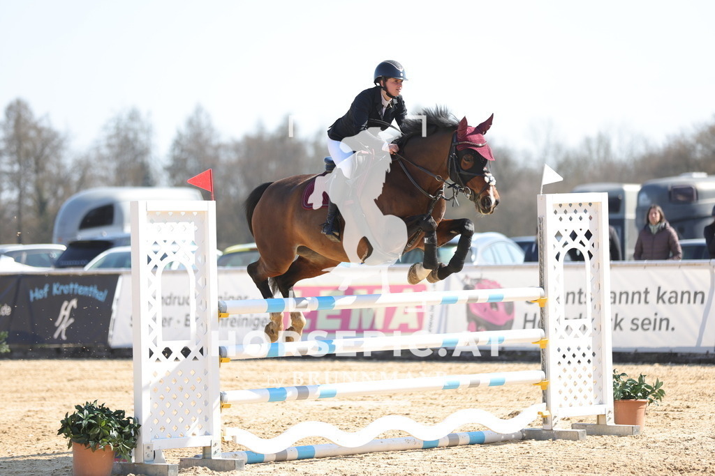 0P6A9851 | Willkommen bei Brunnmayr - Design & Fotografie – Ihrem Spezialisten für Reitturniere und Pferdeveranstaltungen in Oberösterreich, Salzburg und Bayern! Seit über 17 Jahren sind wir leidenschaftlich dabei.