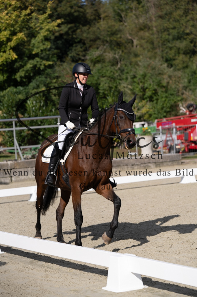 A7V06935 | Turnier/Reitfotograf
