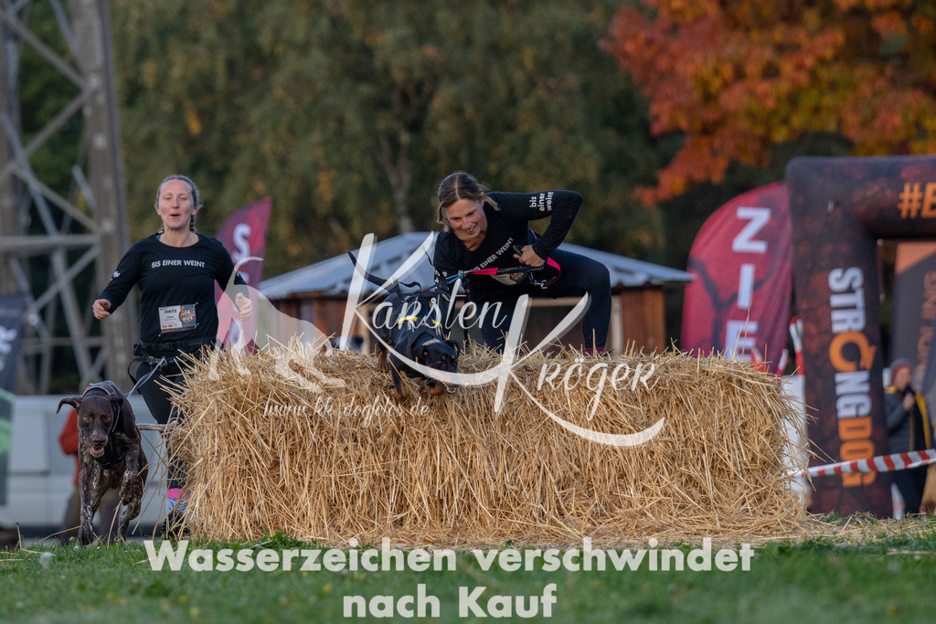 0848_ZZ91434 | kk-dogfotos
