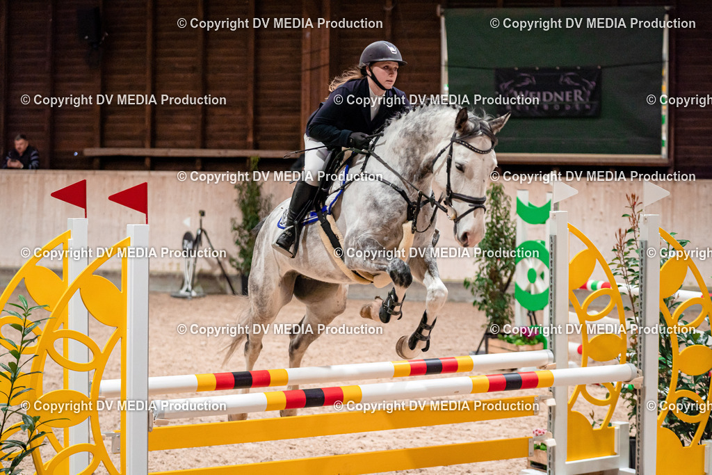 Springen Tag 1-108 | dv-media-shop - Realisiert mit Pictrs.com