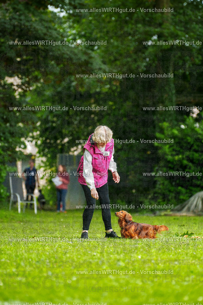 @allesWIRTHgut_Tierfotografie - www.allesWIRTHgut.de - 090702-7R506509 | Professionelle Tierfotografie in Mönchengladbach von Daniel Wirth (allesWIRTHgut). Liebevolle & natürliche Bilder von Hunden & Katzen für unvergessliche Erinnerungen.