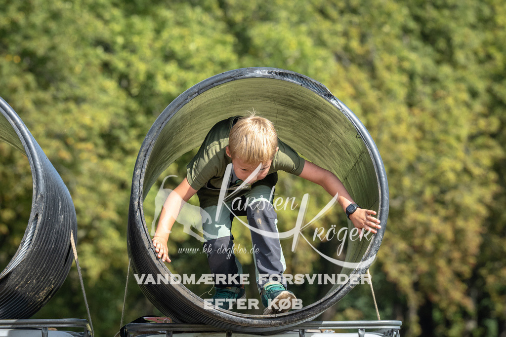 1336_ZZ93953 | kk-dogfotos