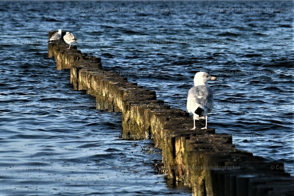 DSC_0087 (3) | Sportfotografie , Motorsport, Motoross, Reitsport, Mointainbike, Enduro,
Landschaft , Outdoor, Eventfotografie, Landschaft, Bilder online bestellen - Realisiert mit Pictrs.com