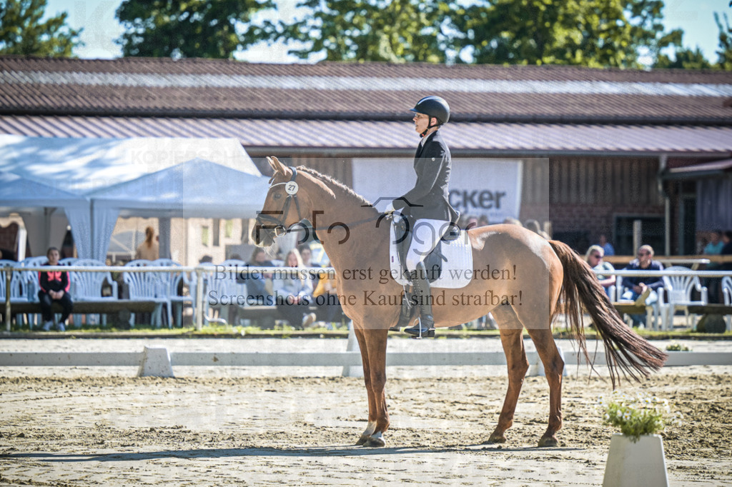 DOS_2817 | Entdecke hochwertige Reitturnierfotos von Foto Oger. Professionell, emotional und authentisch – jetzt Lieblingsmomente im Shop bestellen.Deutschlandweite Turnierfotografie. - Realized with Pictrs.com